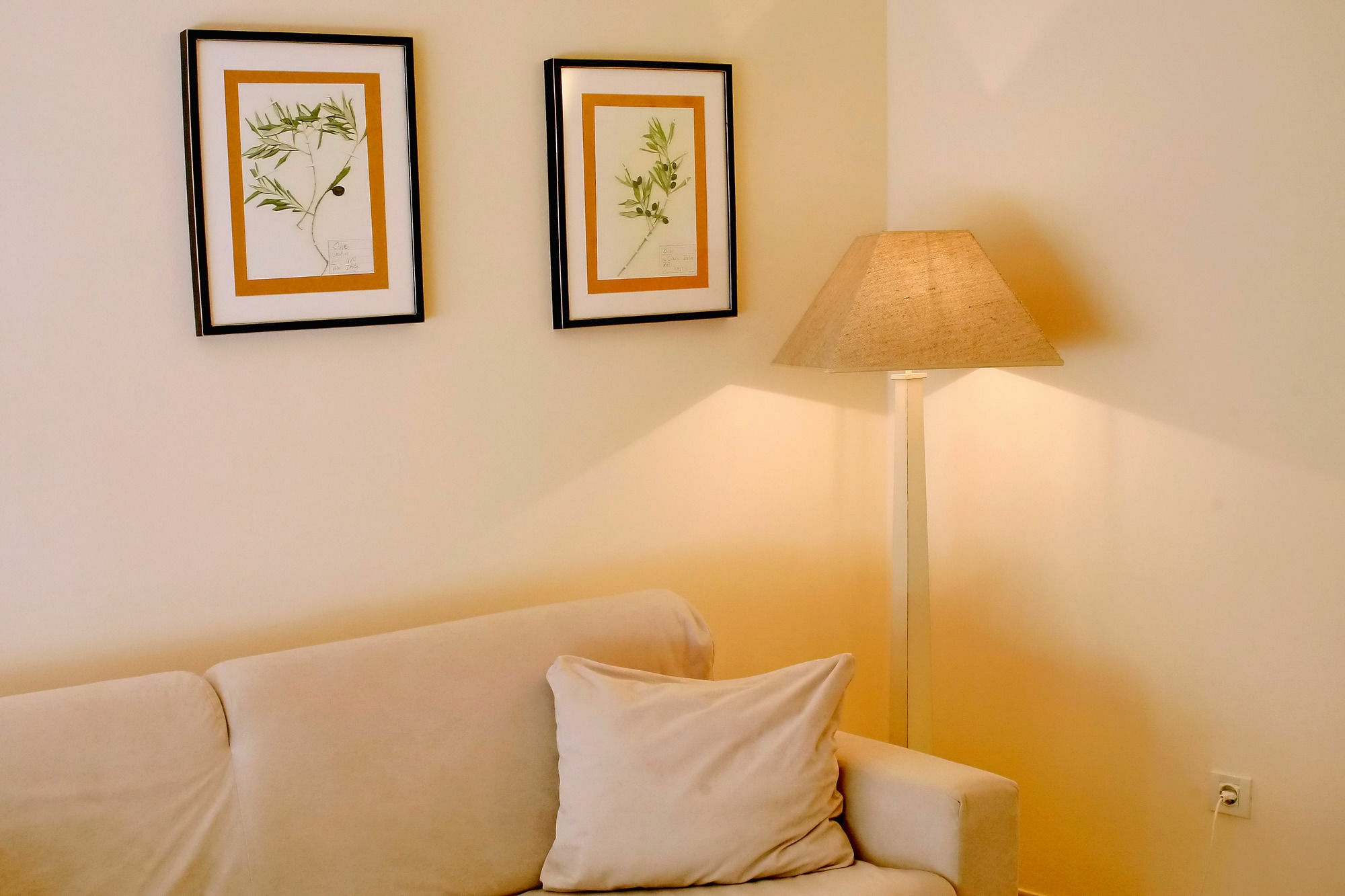 Angelo D'Oro Apartments Trevisol Rovinj Exterior photo